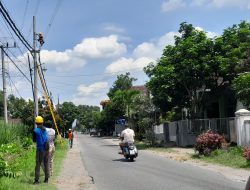 PLN UP3 Kediri Tingkatkan Keamanan Jaringan dengan Pemasangan Kabel Berisolasi di Desa Janti