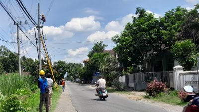 PLN UP3 Kediri Tingkatkan Keamanan Jaringan dengan Pemasangan Kabel Berisolasi di Desa Janti