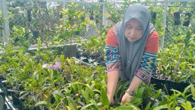 Hobi Rawat Anggrek, Warga Jombang Raup Penghasilan dari Pekarangan Rumah