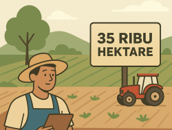Lahan Pertanian Jombang Terkoreksi, Penyusutan Terjadi karena Pembaruan Basis Data