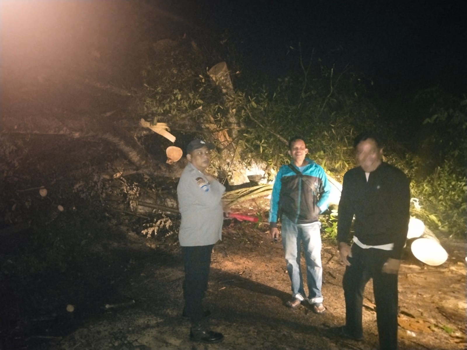 Hujan Deras Disertai Angin Kencang, Pohon Tumbang di Wates Robohkan Tiang Listrik