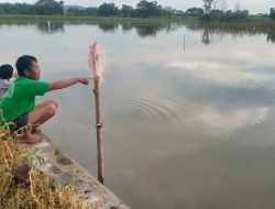 Bibit Padi Terendam Banjir, Petani Jombang Alami Kerugian Jutaan Rupiah