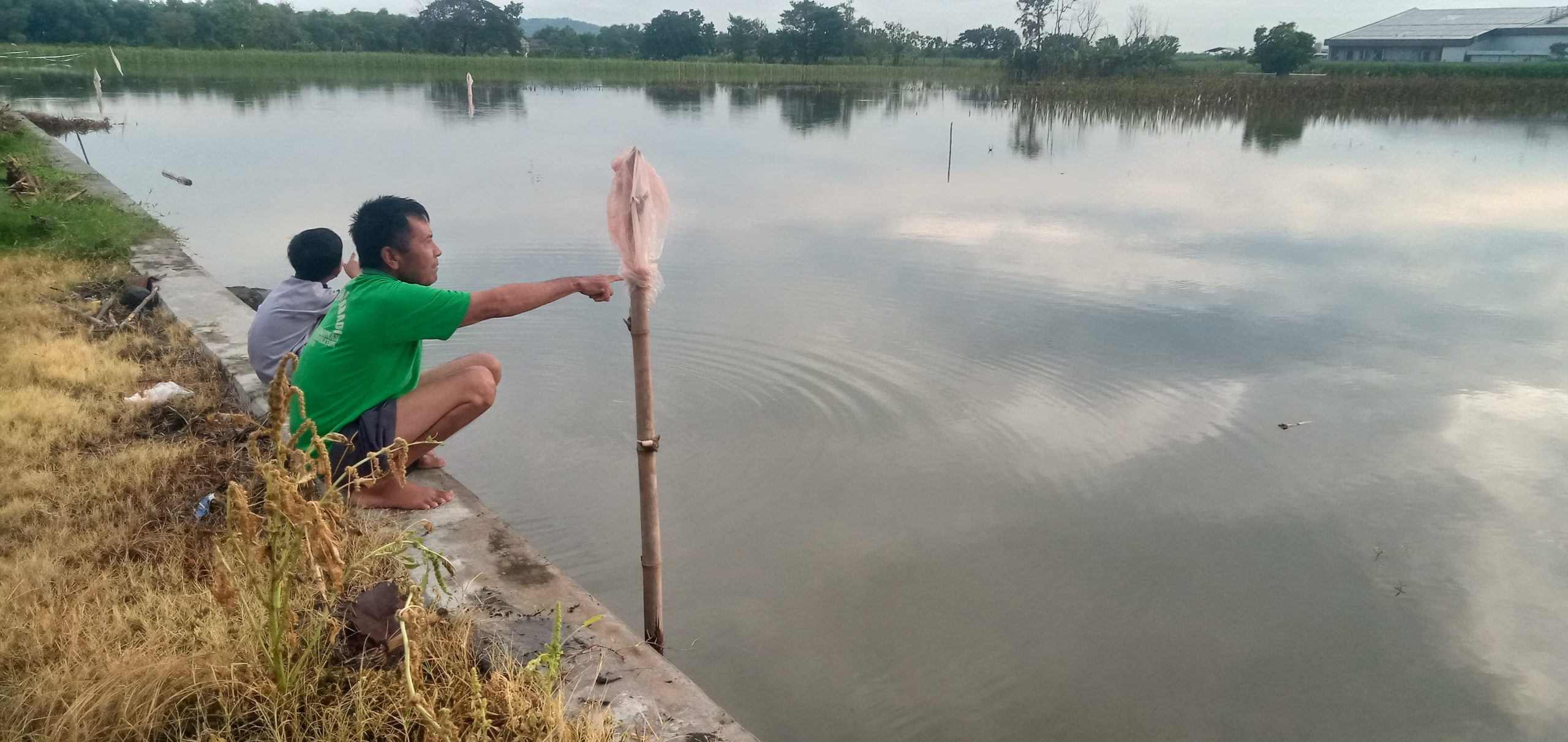 Bibit Padi Terendam Banjir, Petani Jombang Alami Kerugian Jutaan Rupiah