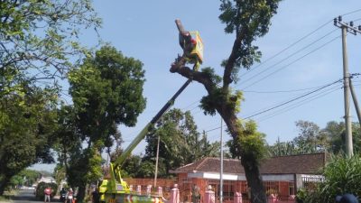 Antisipasi Musim Hujan, DLH Kabupaten Kediri Gencarkan Perantingan Pohon di Kawasan SLG dan Pare