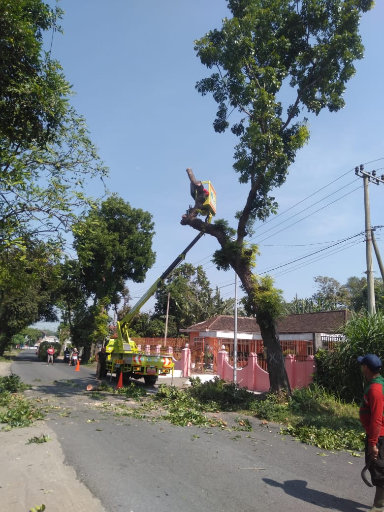 Antisipasi Musim Hujan, DLH Kabupaten Kediri Gencarkan Perantingan Pohon di Kawasan SLG dan Pare