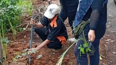 Ratusan Warga Tanam Akar Wangi untuk Cegah Longsor di Desa Kalipang