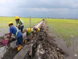 Alhamdulillah, Pembangunan Irigasi Inpres Prabowo Bantu Petani Gemenggeng Tingkatkan Produktivitas