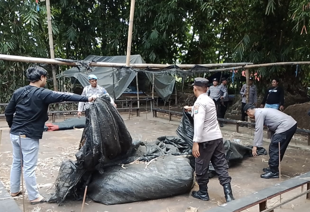 Polsek Ngronggot Gerebek Lokasi Sabung Ayam Ilegal, Arena Ditemukan Kosong