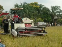 Dispertabun Kabupaten Kediri Pastikan Tanaman Aman dari Puso
