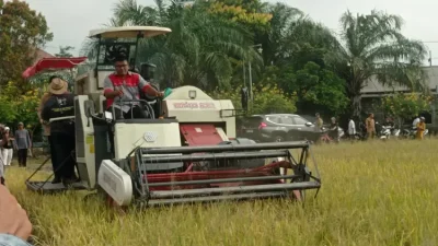 Dispertabun Kabupaten Kediri Pastikan Tanaman Aman dari Puso