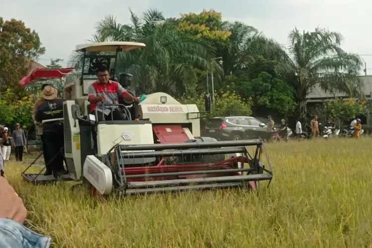 Dispertabun Kabupaten Kediri Pastikan Tanaman Aman dari Puso