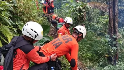Tim pencarian dan pertolongan (SAR) melakukan evakuasi di kawasan hutan sekitar longsoran