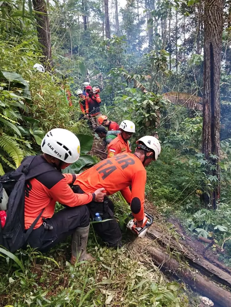Tim pencarian dan pertolongan (SAR) melakukan evakuasi di kawasan hutan sekitar longsoran