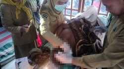 Diduga Serangan Jantung, Warga Binangun Ditemukan Tewas di Sawah Saat Cari Damen