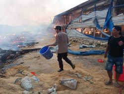 Kandang Ayam di Brondong Dilalap Api, Ribuan DOC Mati Terpanggang, Kerugian Ditaksir Tembus Rp 2 Miliar