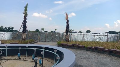 Revitalisasi Lapangan Gajah Mada Lamongan Disorot, Pohon Palm Rp 924 Juta Banyak Mengering