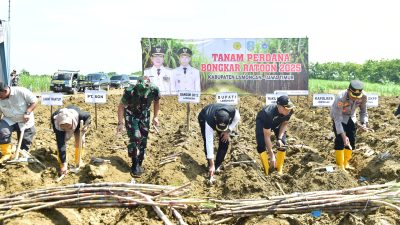 Pemkab Lamongan Dorong Swasembada Gula Lewat Program Bongkar Ratoon di Kecamatan Mantup