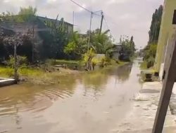 Diterjang Banjir, Ratusan Hektare Sawah dan Permukiman di Kedungpring–Modo Lamongan Terendam