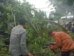 Cuaca Ekstrem Landa Babat Lamongan, Pohon Tumbang Rusak Stand Pasar Agrobis dan Sepeda Motor