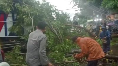 Cuaca Ekstrem Landa Babat Lamongan, Pohon Tumbang Rusak Stand Pasar Agrobis dan Sepeda Motor