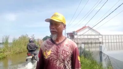 Luapan Bengawan Jero Genangi Ribuan Hektar Tambak, Petambak Kalitengah Lamongan Hanya Bisa Bertahan