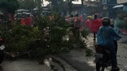 Hujan Angin Terjang Lirboyo, Dua Lokasi Lumpuh: Pohon Tumbang, Listrik Putus, Jalan Macet
