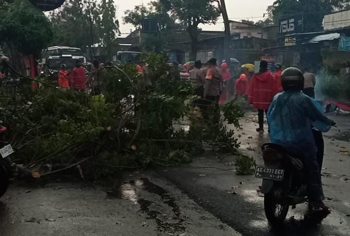 Hujan Angin Terjang Lirboyo, Dua Lokasi Lumpuh: Pohon Tumbang, Listrik Putus, Jalan Macet