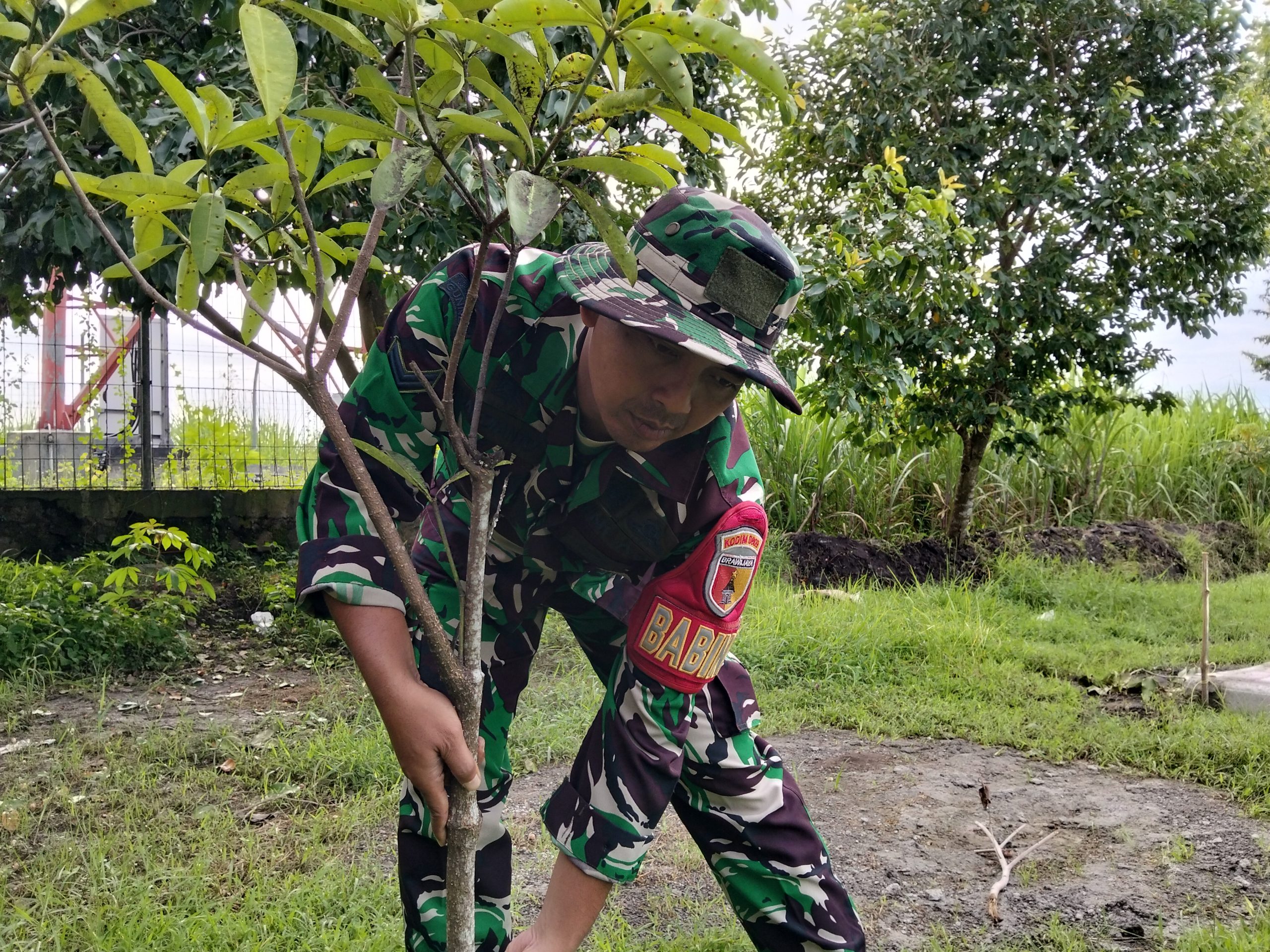 Peringati Hari Juang TNI AD, Koramil 0809-02 Pesantren Tanam 100 Pohon di Pakunden