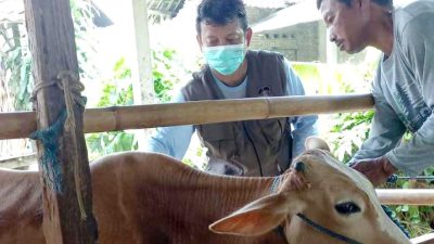 DKPP Siap Sambangi Bolo Ngarit, Genjot Vaksinasi PMK di Kota Blitar