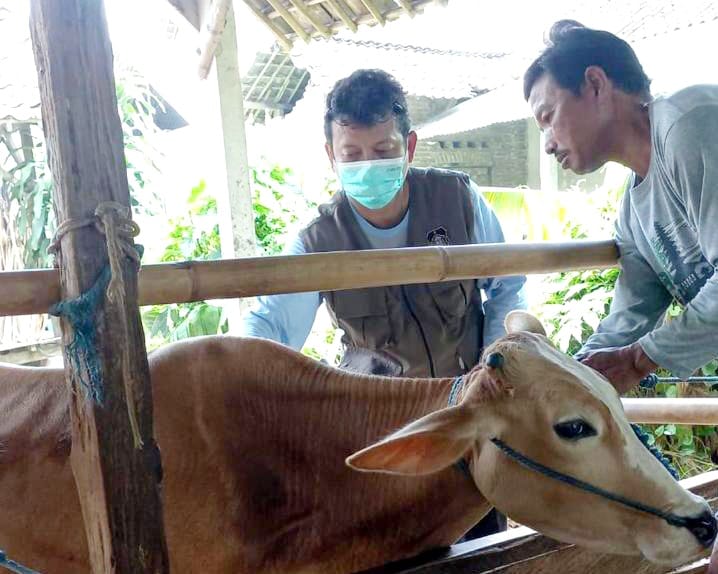 DKPP Siap Sambangi Bolo Ngarit, Genjot Vaksinasi PMK di Kota Blitar