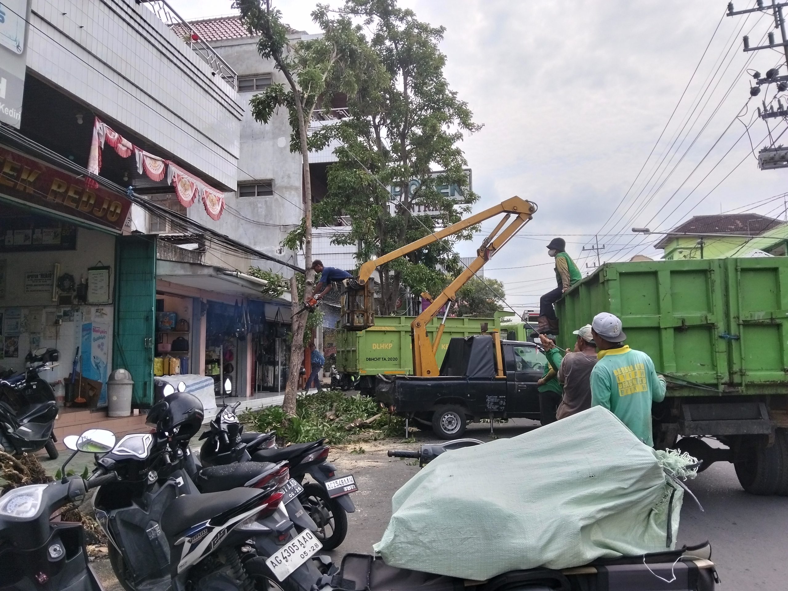 Antisipasi Bahaya, DLHKP Kota Kediri Pangkas Ranting Akasia di Jalan Cokroaminoto