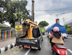 Antisipasi Pohon Tumbang, DLHKP Kota Kediri Lakukan Pemangkasan Puluhan Pohon di Jalan A. Yani
