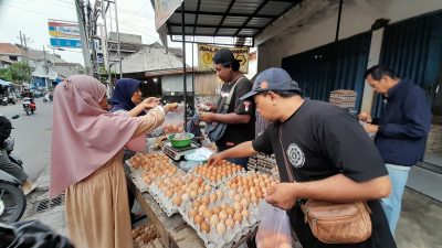 Harga Telur Puyuh Melonjak, Pasokan Menghilang dari Pasaran