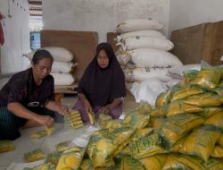 Ampok Instan Jagung Produksi Warga Peterongan Tembus Pasar Antardaerah