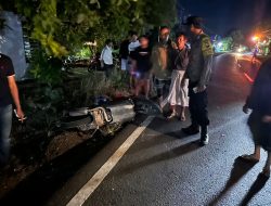 Tabrakan Motor dan Truk Box di Ngoro Jombang, Satu Orang Tewas di Lokasi