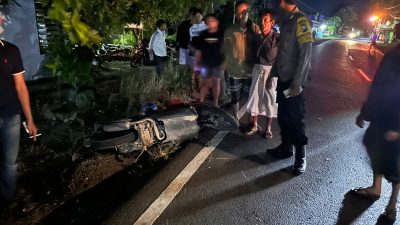 Tabrakan Motor dan Truk Box di Ngoro Jombang, Satu Orang Tewas di Lokasi