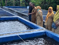 DKPP Jombang Genjot Wirausaha Perikanan Melalui Kunjungan ke Pembudidaya Lele di Temuwulan