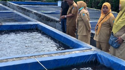 DKPP Jombang Genjot Wirausaha Perikanan Melalui Kunjungan ke Pembudidaya Lele di Temuwulan