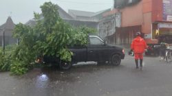 Hujan Lebat dan Angin Kencang Terjang Kota Kediri, Dahan Pohon Timpa Mobil dan Putuskan Kabel Listrik