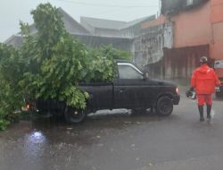 Hujan Lebat dan Angin Kencang Terjang Kota Kediri, Dahan Pohon Timpa Mobil dan Putuskan Kabel Listrik