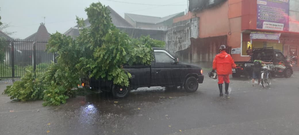 Hujan Lebat dan Angin Kencang Terjang Kota Kediri, Dahan Pohon Timpa Mobil dan Putuskan Kabel Listrik