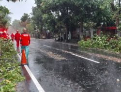 Hujan Lebat Disertai Angin Kencang Terjang Kota Kediri, Sejumlah Dahan dan Pohon Tumbang