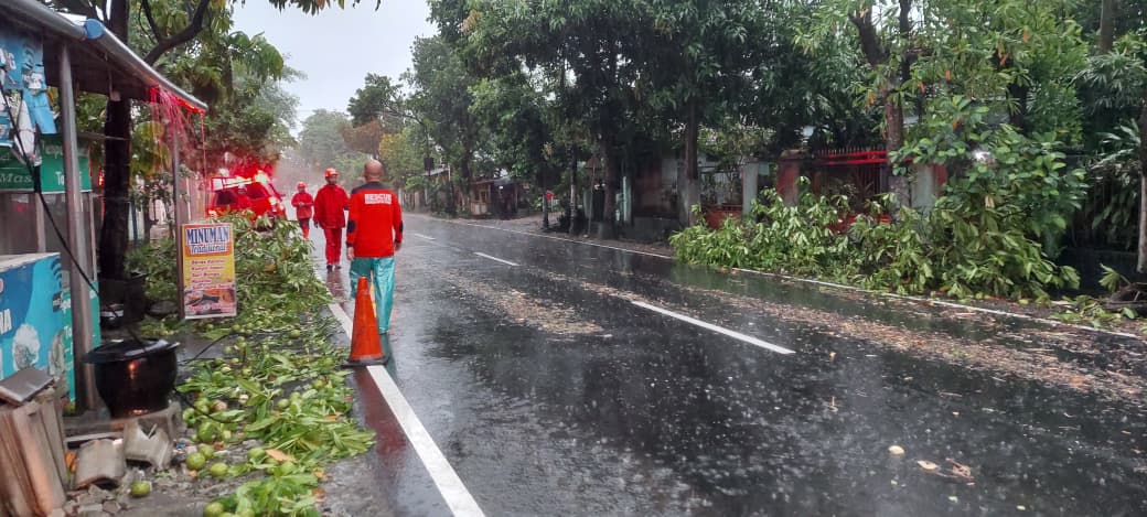 Hujan Lebat Disertai Angin Kencang Terjang Kota Kediri, Sejumlah Dahan dan Pohon Tumbang