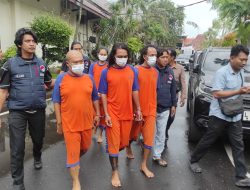 Pengusutan Berlanjut, Polisi Tangkap Dua Tersangka Baru Kasus Ganja Indoor