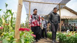 Festival Petani Kalcer Digelar Dua Hari di Klanderan Plosoklaten