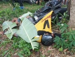 Kecelakaan Tunggal di Ponorogo, Dua Pemuda Tewas Usai Motor Hantam Pohon
