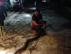 Sepanjang 2025, Damkar Nganjuk Tangani 481 Penyelamatan Non-Kebakaran