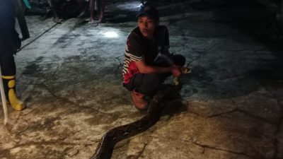 Sepanjang 2025, Damkar Nganjuk Tangani 481 Penyelamatan Non-Kebakaran