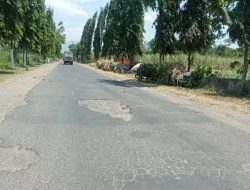 Jalan Raya Desa Kras Rusak Selama Setahun, Warga Keluhkan Minimnya Perbaikan