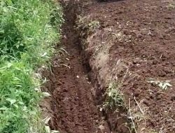 Normalisasi Parit Irigasi Dilakukan untuk Cegah Luapan Air ke Jalan Raya